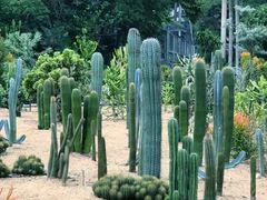 -深圳仙湖植物园