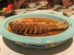 -阿五黄河大鲤鱼(英协路店)