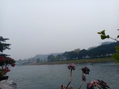 -黄龙溪古镇