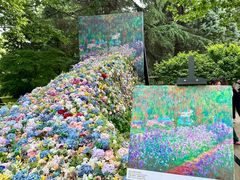 -上海共青森林公园