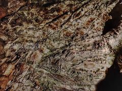 -波斯托伊纳溶洞