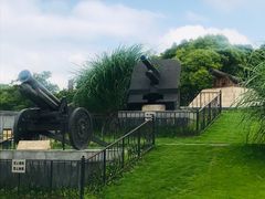 -吴淞炮台湾湿地森林公园烧烤区