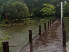 -深圳国际园林花卉博览园