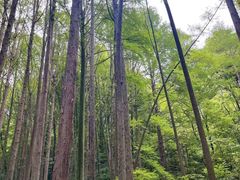 -波尔登森林公园