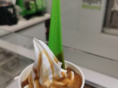 冻酸奶-Salud撒露欧洲冻酸奶(蓝色港湾店)