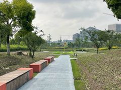 -春花秋色城市公园