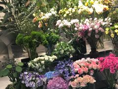 -植物学家的女儿(北马道巷店)