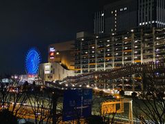 -台场海滨公园船码头