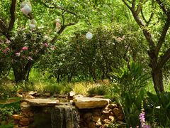 -名花谷生态庄园