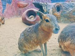 -大连森林动物园