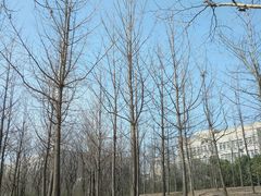 -陕西师范大学(雁塔校区)