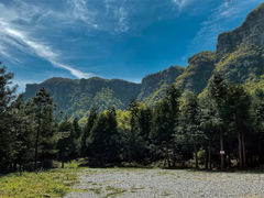 -重庆睡佛山森林公园