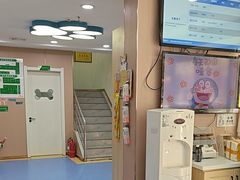 -天使宠物医院·犬猫分诊(彩虹店)