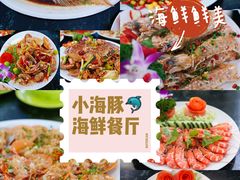 -亚龙湾热带天堂森林公园