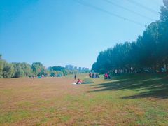 -长白岛森林公园