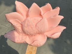 -莲池书院博物馆