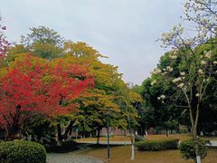 -四川大学(江安校区)