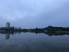 -月湖风景区