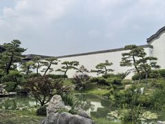 -盆景园(扬州大运河文化旅游度假区)