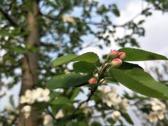 -白鹭湾湿地公园