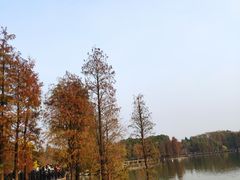 -海珠湖公园