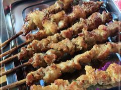 -民族烤羊·烤羊肉串·烤羊排(南城店)