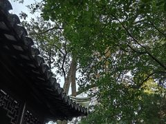 -秋霞圃