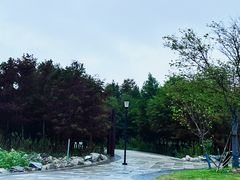 -滴水湖