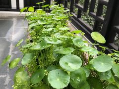-邱记私房菜·十八年本地菜