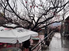 -老村长农家院