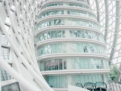 -凤凰中心