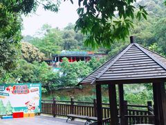 -天鹿湖森林公园