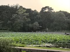 -承德避暑山庄景区