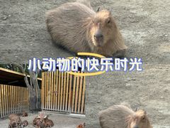 -成都欢乐谷