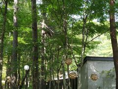 -轻井泽高原教堂