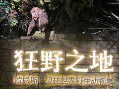 -浙江自然博物院(杭州馆)
