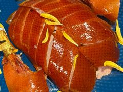 -馋嘴猫北京食堂·烤鸭·宵夜(亚运村店)