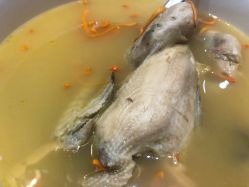 -成都赛仑吉地大酒店·宴会厅
