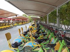 -合肥滨湖国家森林公园