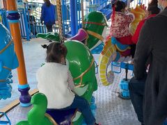 -芜湖新华联大白鲸海洋公园