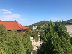 -龙口南山旅游景区