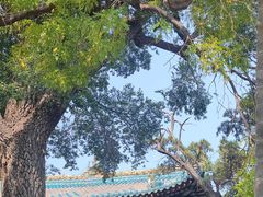 -晋祠公园