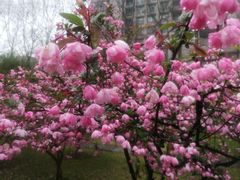-南京航空航天大学(明故宫校区)