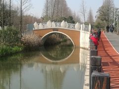 -上海长兴岛郊野公园