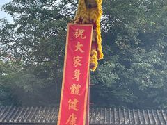 -无影脚佛山陈氏盲公丸始创店(飞鸿街店)