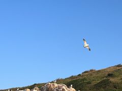-北岐滩涂