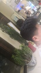 点击看大图 -卡尔诗·科技美肤连锁