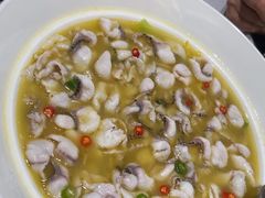 -青花椒花椒鱼(合生汇店)