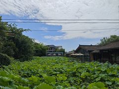 -莫催咖啡