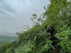 -佛慧山